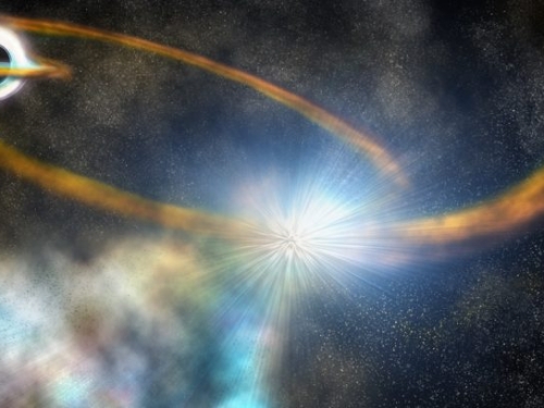 直擊黑洞撕碎恆星全過程，輻射亮度超越宿主星系 4 倍