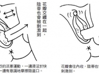 後背位會有被強姦的興奮感！？《超性愛指導手冊》完整體位、刺激感全攻略！