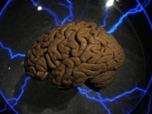 「人生跑馬燈」真有其事？科學家首度錄下臨終大腦活動
