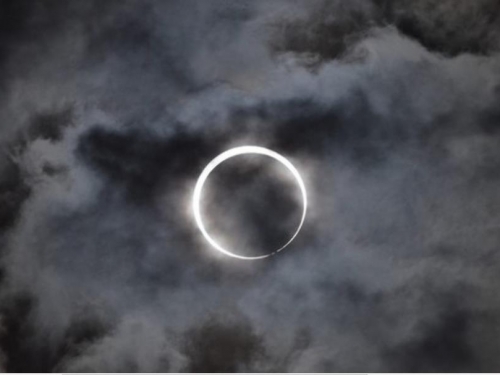 日全食會重設鳥類生理時鐘，出現清晨鳴叫行為