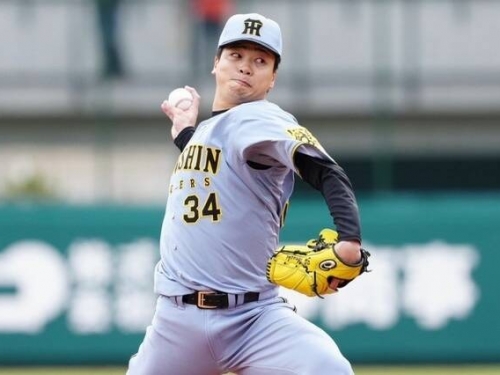 日職》這成績不要？本季防禦率完美的0 阪神震撼戰力外29歲右投