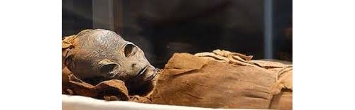 埃及法老的顧問？疑似外星人木乃伊在金字塔內被發現