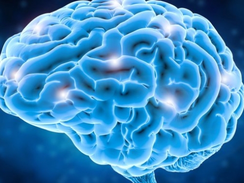 唐氏症治療新突破！科學家成功逆轉實驗鼠的認知缺陷