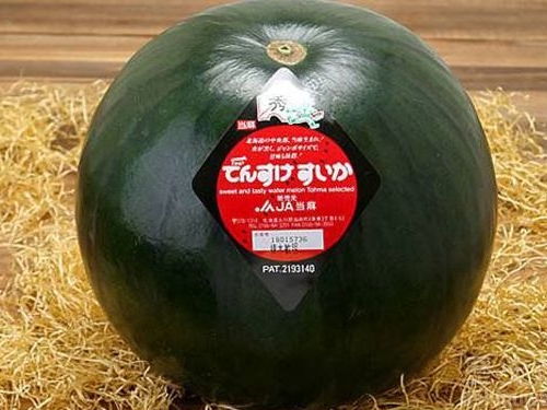 天價西瓜!日本一個西瓜要3萬多！