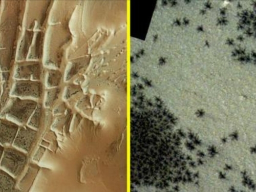 火星拍到大量「黑蜘蛛」 專家揭密：每年都會出現