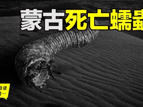 蒙古死亡蠕蟲：找到它就能找到成吉思汗的寶藏……|自說自話的總裁