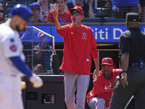 MLB》連3壞都被判好球！天使教頭和教練遭趕出場 主播直呼太扯