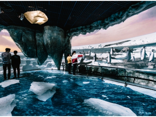 打造沈浸式極光體驗！屏東海生館推出「極境 66.5 度」互動展覽　3D 動畫一秒來到極地！