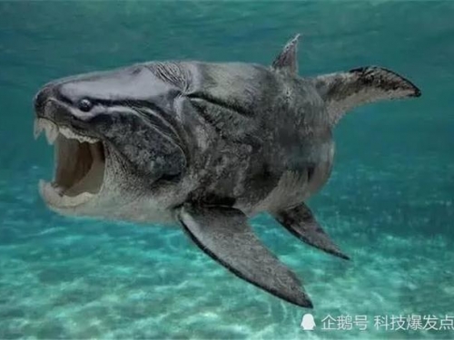 人類很慶幸這3種生物已經滅絕，如果它們活著，誰敢踏入海洋？