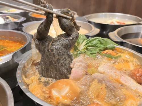 鱷魚拉麵輸了 連鎖火鍋店「整隻帶皮青蛙」下鍋