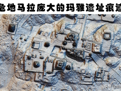 在森林之中，被人類找到的6個略顯奇怪的事物
