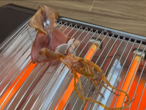 網紅超ㄎ–ㄤ創意「魷魚乾捧書」！ 網笑：幽「魷」白書