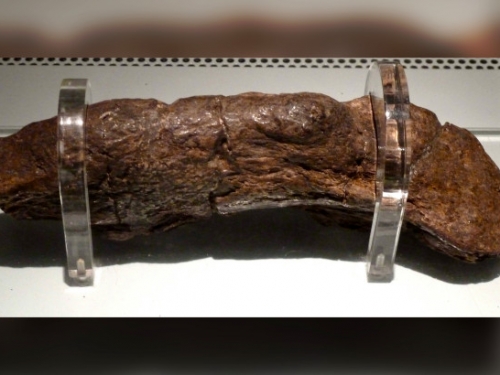 史上最長人類糞化石曝光 歷經1200年仍保存完整