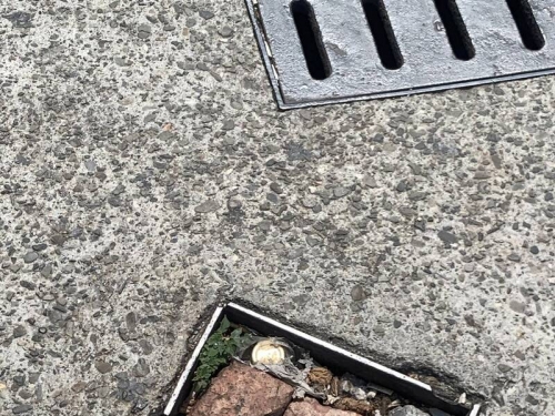 路邊驚見超豐盛「控肉便當」 網笑：月底「薪盡」自然涼