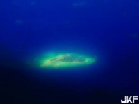 全球九大離奇古怪的島嶼