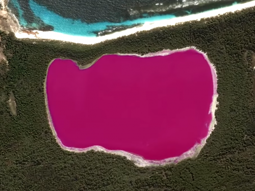 印度湖泊突然之間神秘變成粉紅，細思之下有點不寒而慄了