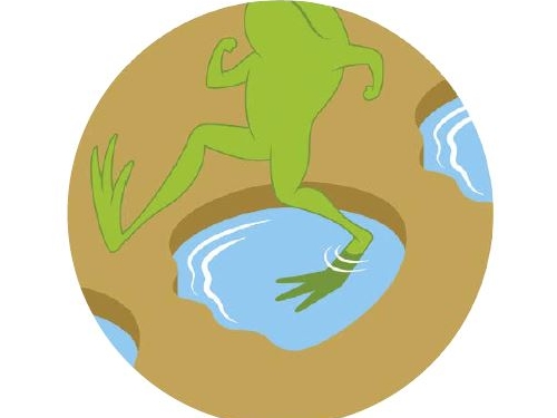 大象腳印青蛙家 獸足創造出小動物世界的生物多樣性。