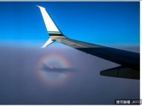 奇！空中驚現絕美「觀音圈」 彩虹光環包圍機身倒影