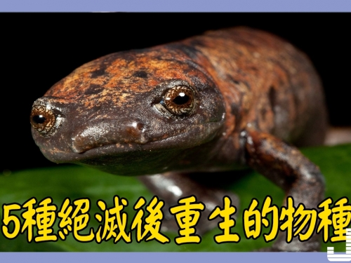 5種絕滅後重生的物種，第4種已在地球生活三億年
