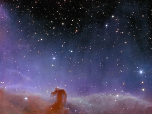 歐幾里得太空望遠鏡傳回首批影像 馬頭星雲壯麗畫面曝光