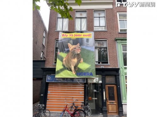 「我家貓35歲啦」荷蘭飼主貼大布條公告！網友全稱羨：值得擺席