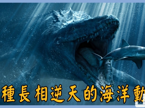 15種長相逆天的海洋動物！