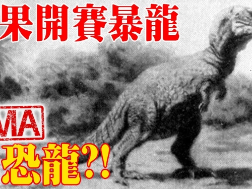 【UMA檔案】開賽暴龍 - 非洲剛果頂級掠食者，地球上倖存最後的活恐龍?Kasai Rex