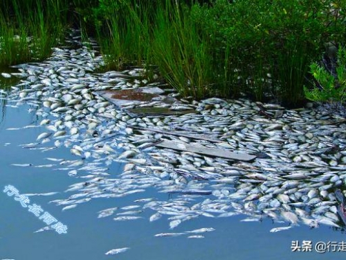 最“毒”村莊：被氰化物淹沒43年，成全球唯一的劇毒景區