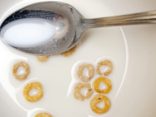 漂浮在牛奶上的Cheerios為什麼喜歡聚在一起？
