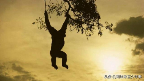 進化論、神造論、外星人造論…關於人類起源，最大膽的就是虛擬論