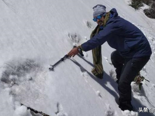 珠穆朗瑪峰上生活著雪人？探險隊多次考察有了結果
