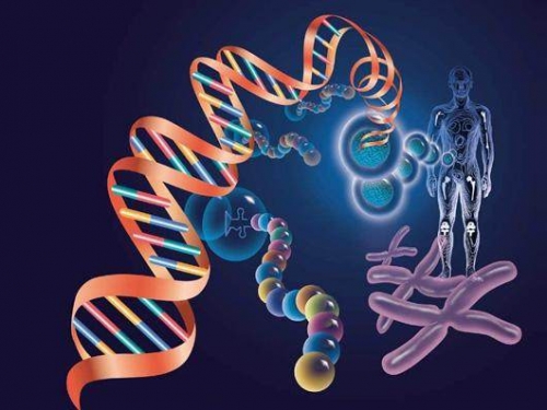 科學家推翻達爾文進化論，卻沒找到人類起源，人類真是外星人麼？