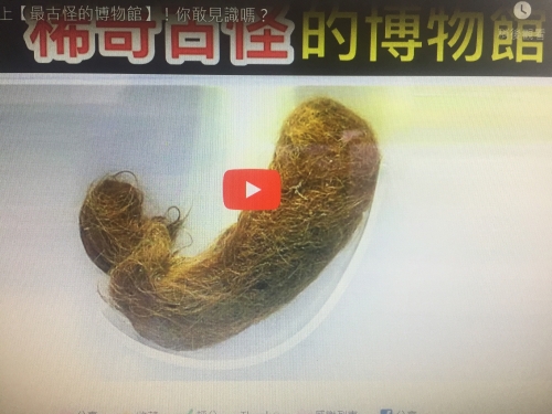 9個世界上【最古怪的博物館】！你敢見識嗎？
