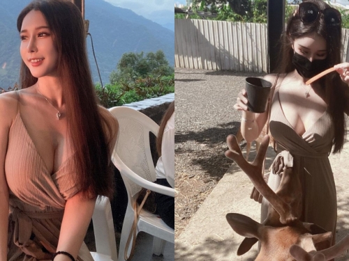 恆春驚見「低胸洋裝正妹」餵小鹿，超渾圓「雪白巨乳」美味大升級！