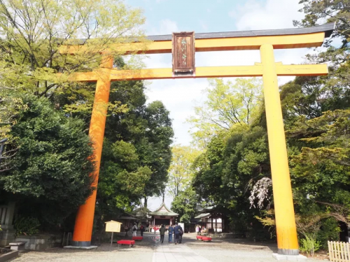 曾是酒店媽媽桑...她走過曲折半生 轉身任神社宮司