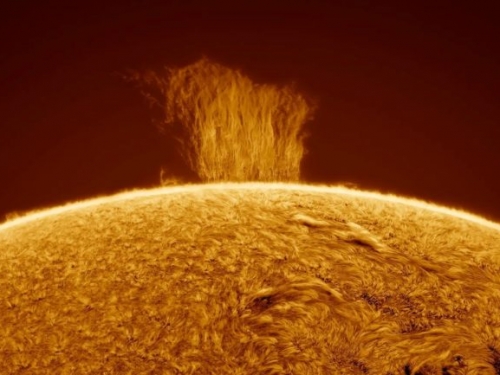 見識一下地球八倍高的太陽電漿瀑布