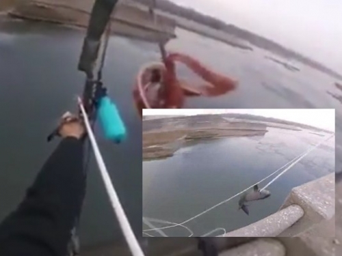 第一次看這樣釣魚！美國男子15米外 「百步穿楊」釣大魚！