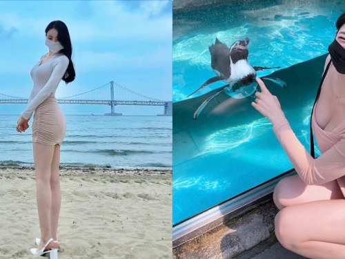 水族館看企鵝的「九頭身長腿護理師」，「逆天大美腿」好誘人呀！