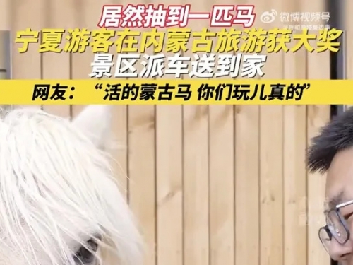 內蒙古玩真的！晚會大獎牽出「真馬」 他也帶回家養了