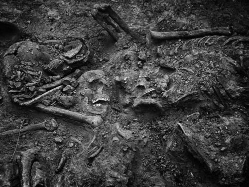 家族屠殺！5千年古墓揭驚人真相