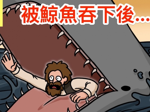 如果你被鯨魚吞下後...會怎麼樣？【阿佑動畫】