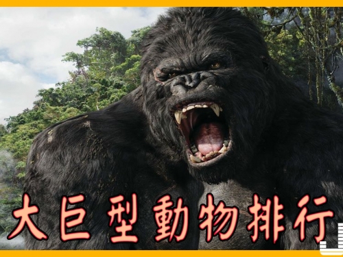 十大巨型動物排行榜，排第一的體重竟然是非洲象的三十倍