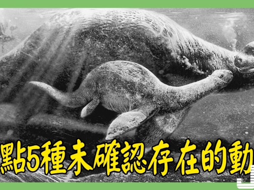 盤點5種未確認存在的動物，第4種極高機率存在