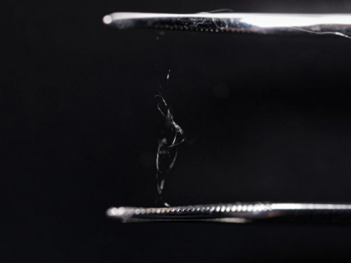 科學家結合木纖維與蜘蛛絲，製成高強度且堅韌的新材料