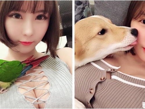 想當妹子的寵物～「美乳當枕頭」躺著站著都不怕掉，「兇猛大歐派」真的穩