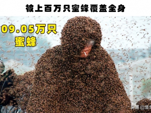 瘋狂的世界紀錄：世界上最為瘋狂的5個難被打破的世界紀錄