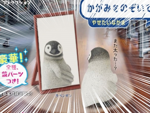 好想變瘦！　日廠STAND STONES推出「發福動物：照照鏡子吧」新系列扭蛋！