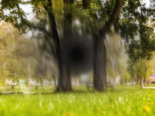 造成失明主因研究獲突破