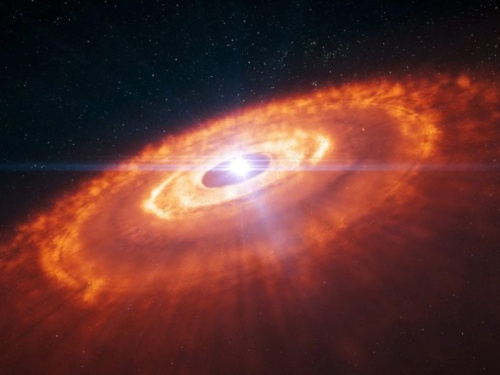 行星從哪裡來？（下）解碼原行星盤的五段演化