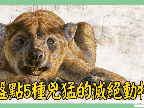 盤點5種兇猛的滅絕動物，第4種至今仍被目擊發現